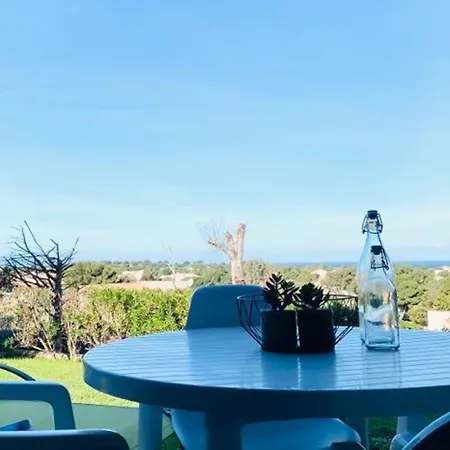 Apartmán Studio Familial Climatise Avec Terrasse, 1 Km De La Plage - - Fr-1-63-295 *