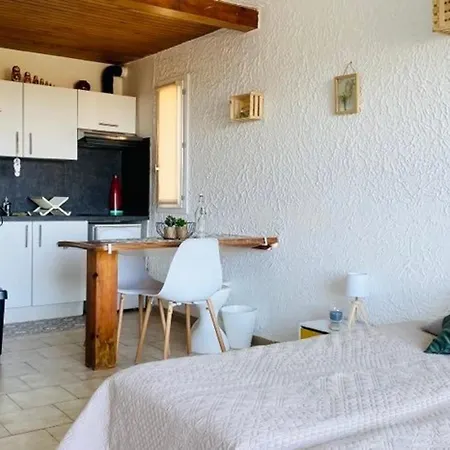 Studio Familial Climatise Avec Terrasse, 1 Km De La Plage - - Fr-1-63-295 *