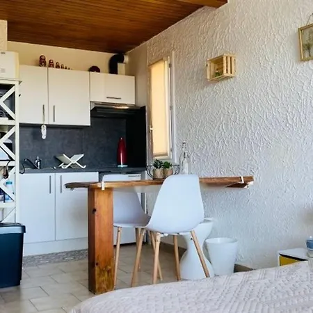 Studio Familial Climatise Avec Terrasse, 1 Km De La Plage - - Fr-1-63-295 *